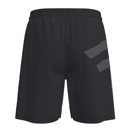 Spark 2.0 Shorts Herre (9091182297363)