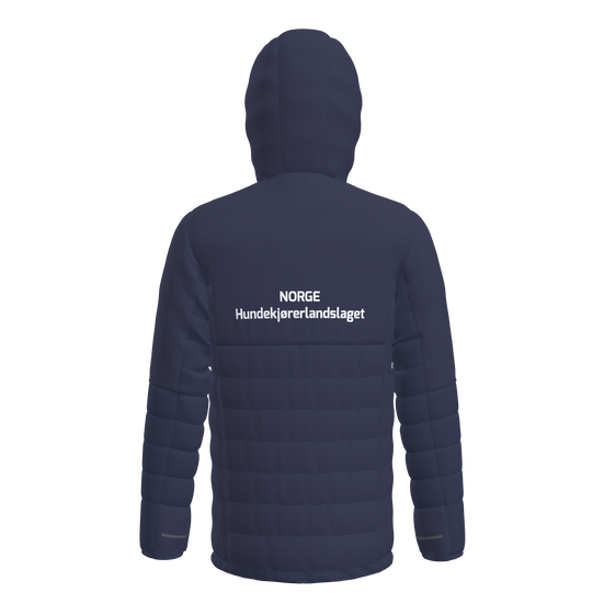Storm Light Down Hoodie Herre (9539709108499)