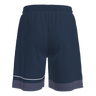 Adapt 2.0 shorts men (9104143876371)