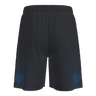Adapt 2.0 shorts men (9638842269971)