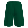 Adapt 2.0 shorts men (9717381660947)