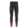 Trainer Long Tights Men