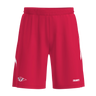 Fusion Shorts Herre
