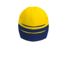 Pulse Cap