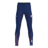 Pulse 2.0 Pants Men