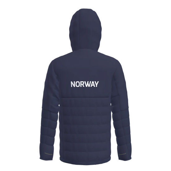 Storm Light Down Hoodie Herre