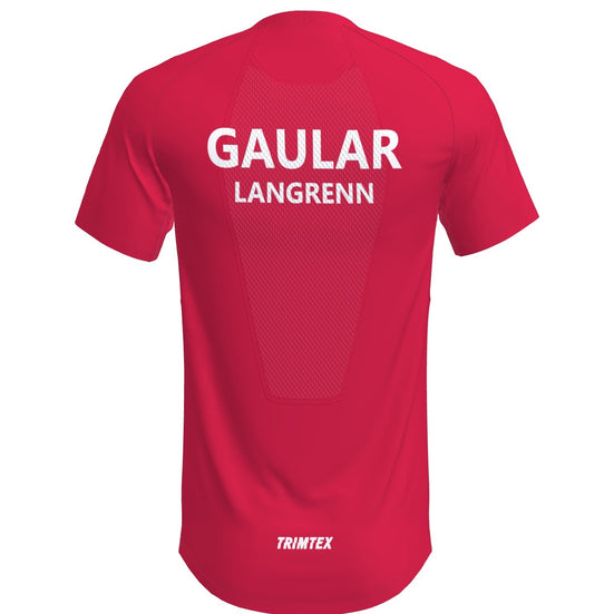 Run T-Shirt SS Men (8693232599315)