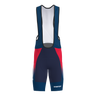 Pro 3.0 Bib Sykkelshorts Herre (8687844032787)