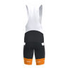 Pro 3.0 Bib Shorts Men (9097346351379)