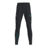 Instinct 2.0 Pants SZ (9676896633107)