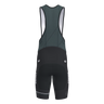 Pro 3.0 Bib Sykkelshorts Dame (8934254379283)