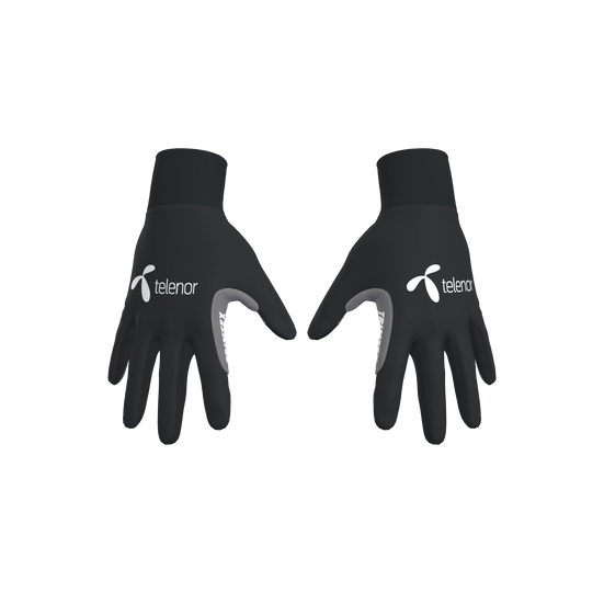 Pro Classics Gloves (8898472083731)