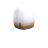Pulse Cap (8895168512275)