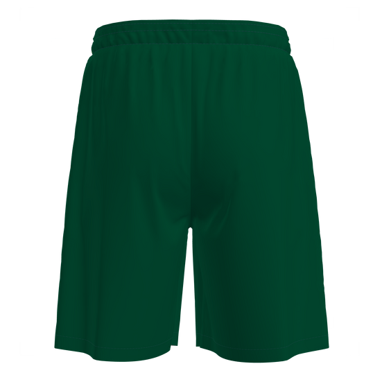 Adapt 2.0 shorts men (9170447663379)