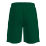 Adapt 2.0 shorts men (9170447663379)