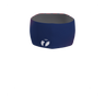 Pulse Headband