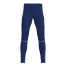 Element 2.0 Pants Jr (9556768358675)