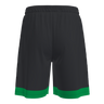 Adapt 2.0 shorts men (9758639489299)