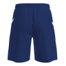 Fusion Shorts Herre