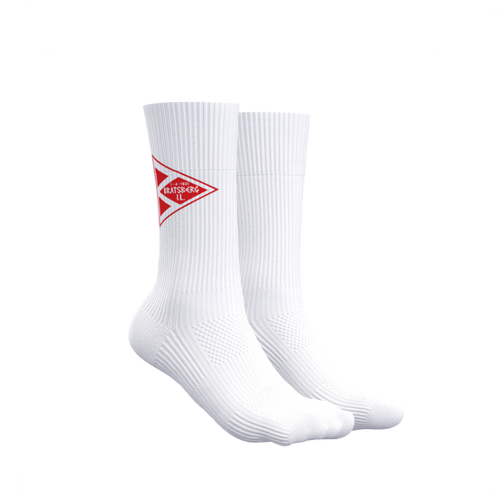 Vitric Performance Socks (9709611188499)