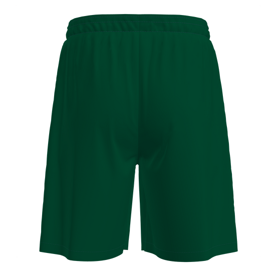 Adapt 2.0 shorts men (9717381660947)