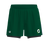 Fast Shorts Men (9717382054163)