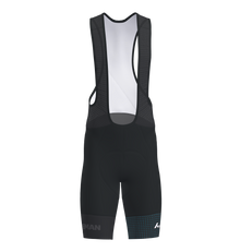 Victory 2.0 Bib Shorts Men (9769257140499)