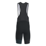 Victory 2.0 Bib Shorts Men (9769257140499)