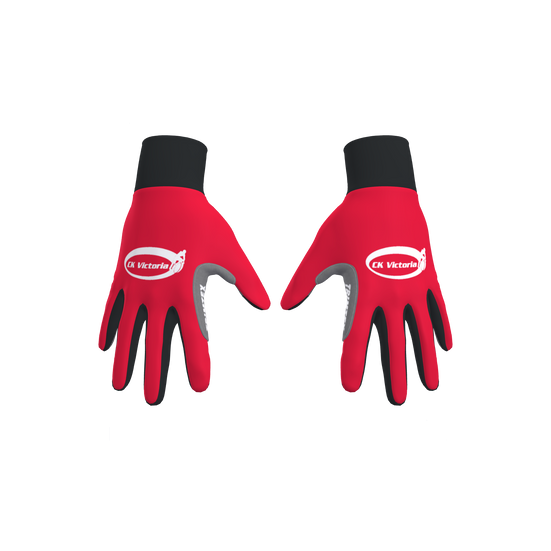 Pro Classics Gloves (9799417790739)