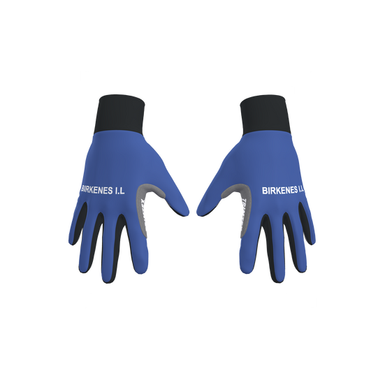 Pro Classics Gloves (9870101905683)