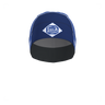 Vision Race Cap (9996200444179)