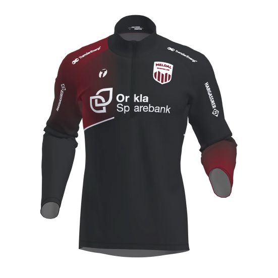 Flex 3.0 Shirt LS Men