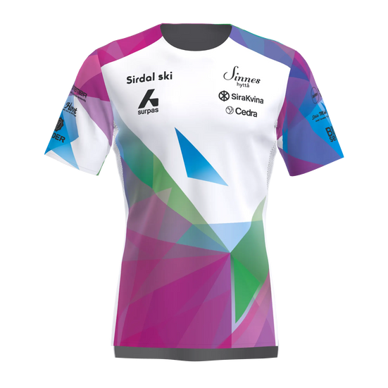 Stride T-Shirt SS Men