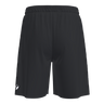 Adapt 2.0 shorts men (8791894491411)