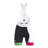 Vitric Bib Sykkelshorts Dame (8968272216339)